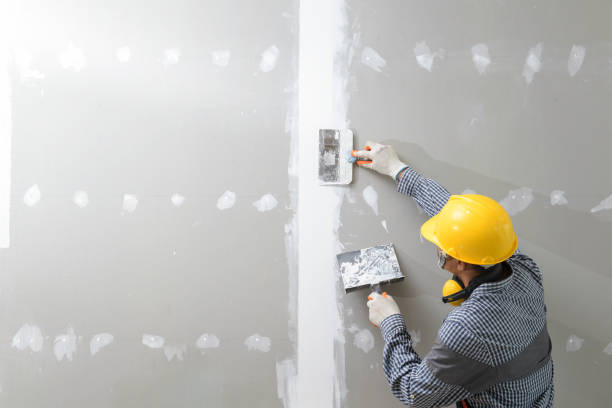 Best Black Mold Removal  in Cologne, NJ