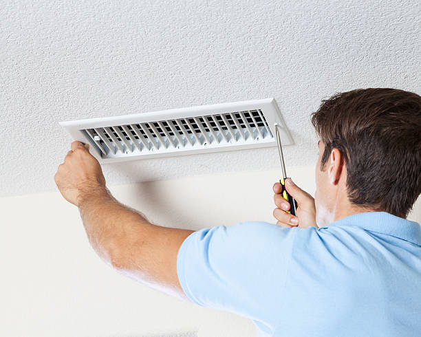 Best Mold Damage Restoration  in Cologne, NJ